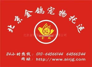 專業國際寵物托運出境服務 北京金鴿國際寵物托運代辦指南