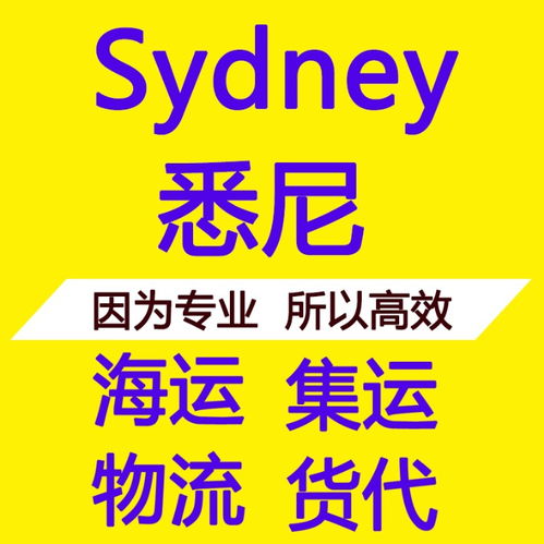 悉尼普貨海派專線 雙清包稅海運物流的便捷之選